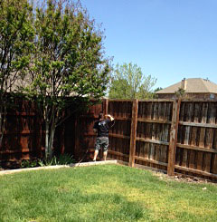 Fence Staining - Frisco and Plano, Texas